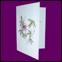 Christmas Cards designed by Mary Macdonnald